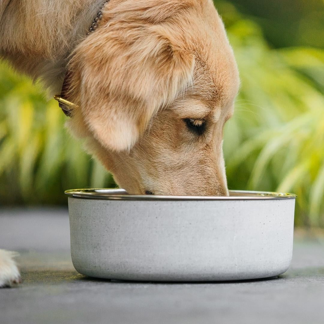 Hundenapf Concrete Bowl - athleticdog