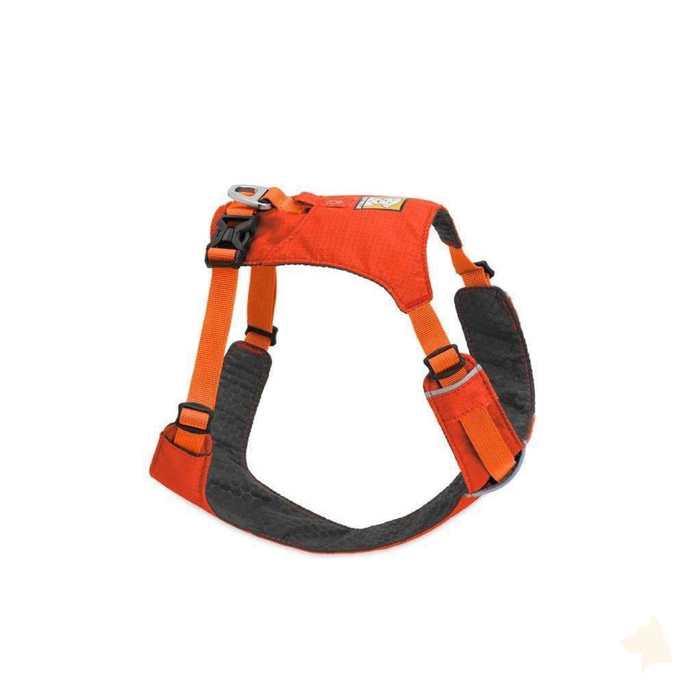 leichtes Geschirr Hi & Light™ - orange - athleticdog
