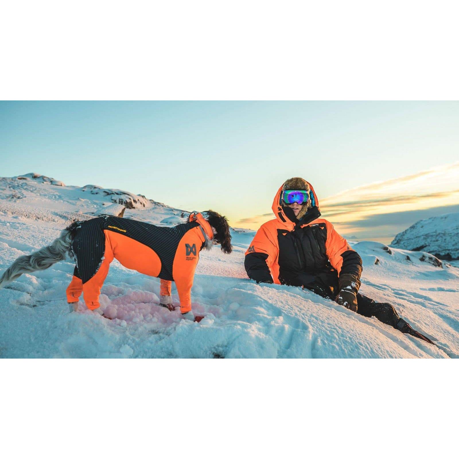 Overall Non-Stop Protector Snow - Hündin - athleticdog