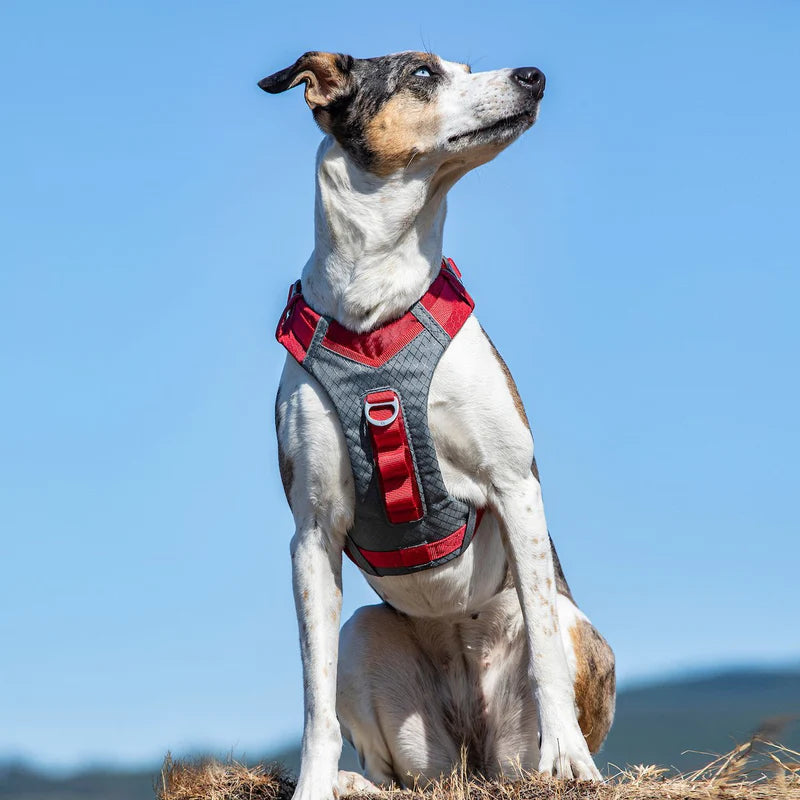 Journey Air Harness - rot