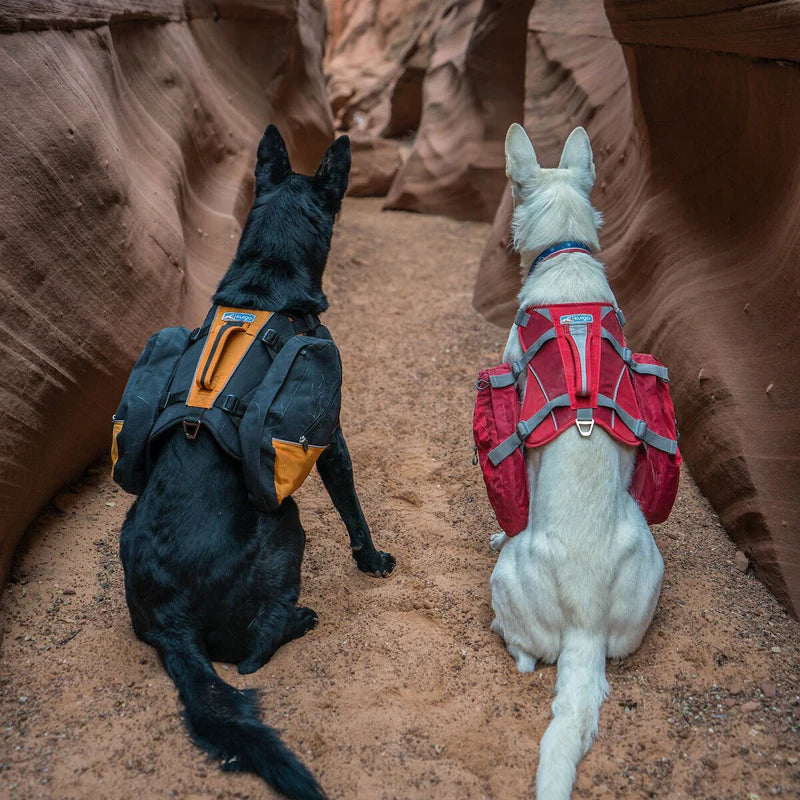 Hundegeschirr mit Satteltaschen Baxter Backpack - rot