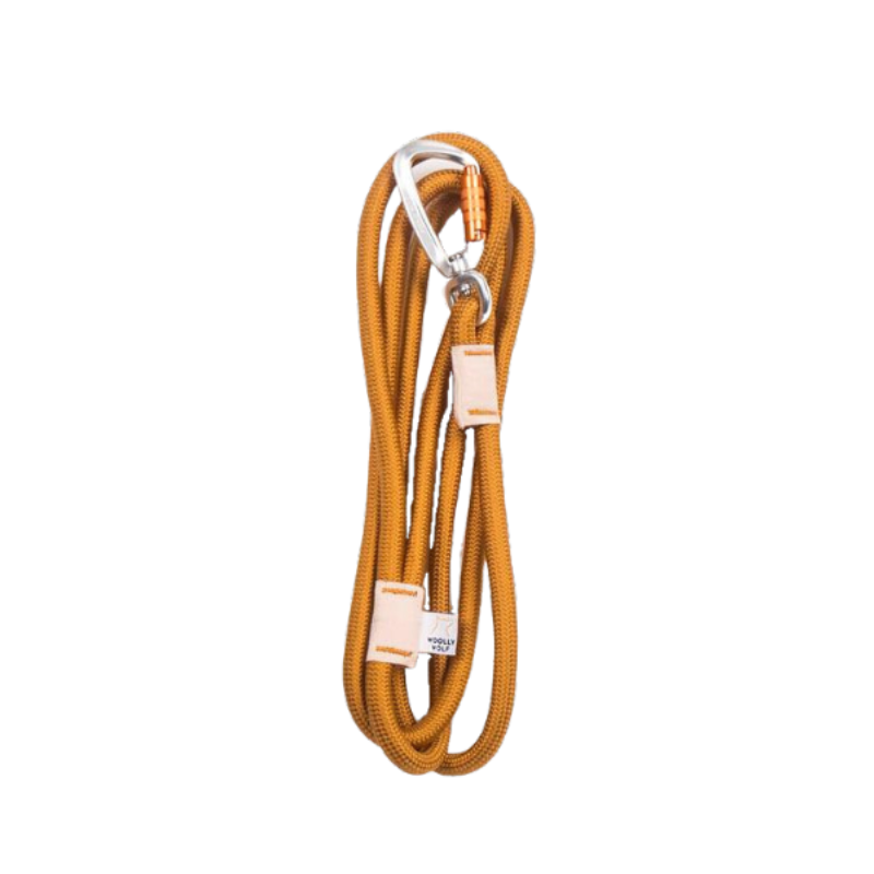 Recycled PET Rope Leine - gold