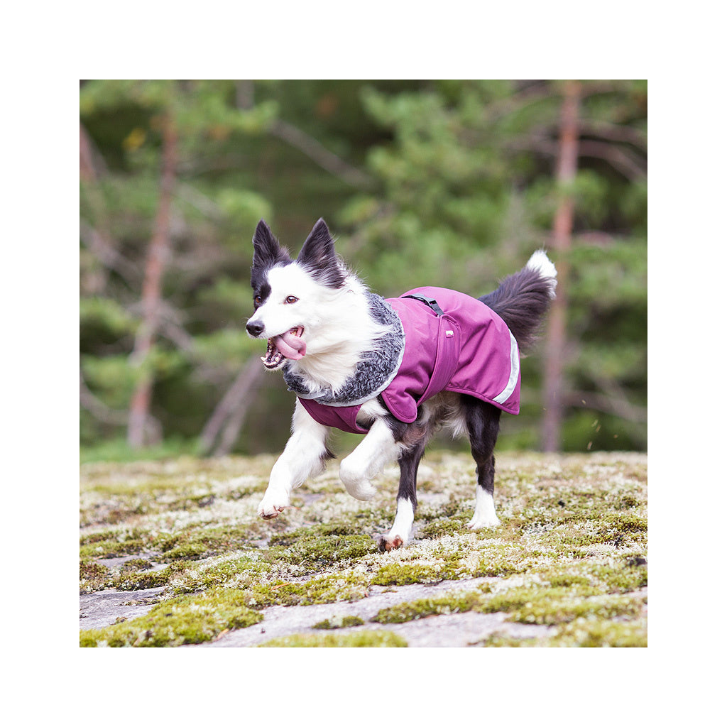 Wintermantel Perus Pomppa - plum - athleticdog
