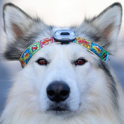 Sicherheitslicht Matrix Ultra Led - weiss - athleticdog