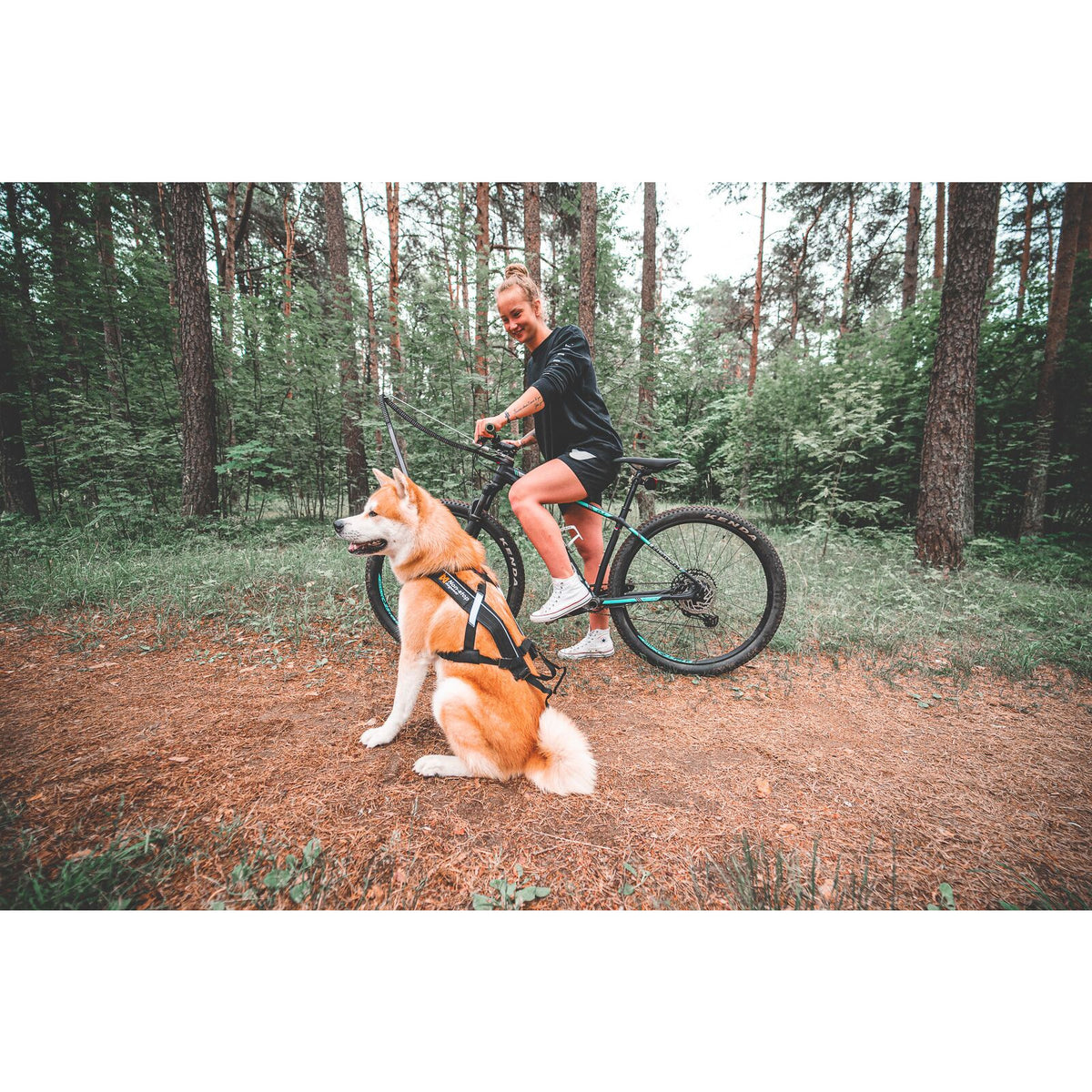 Bikeantenne mit Federung - athleticdog