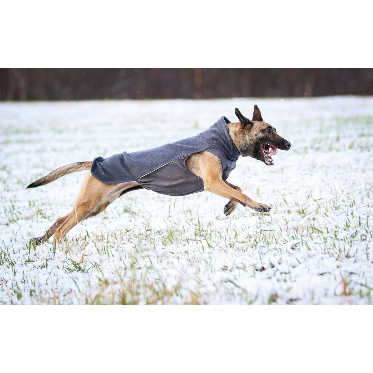 Fleecepullover Jumppa Pomppa - grau - athleticdog