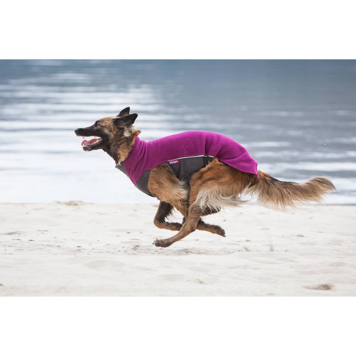 Fleecepullover Jumppa Pomppa - violett - athleticdog