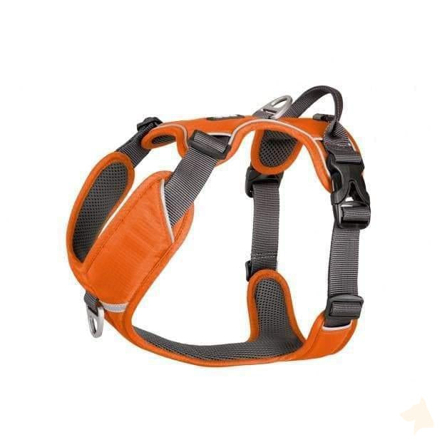 Geschirr Comfort Walk Pro - orange - athleticdog