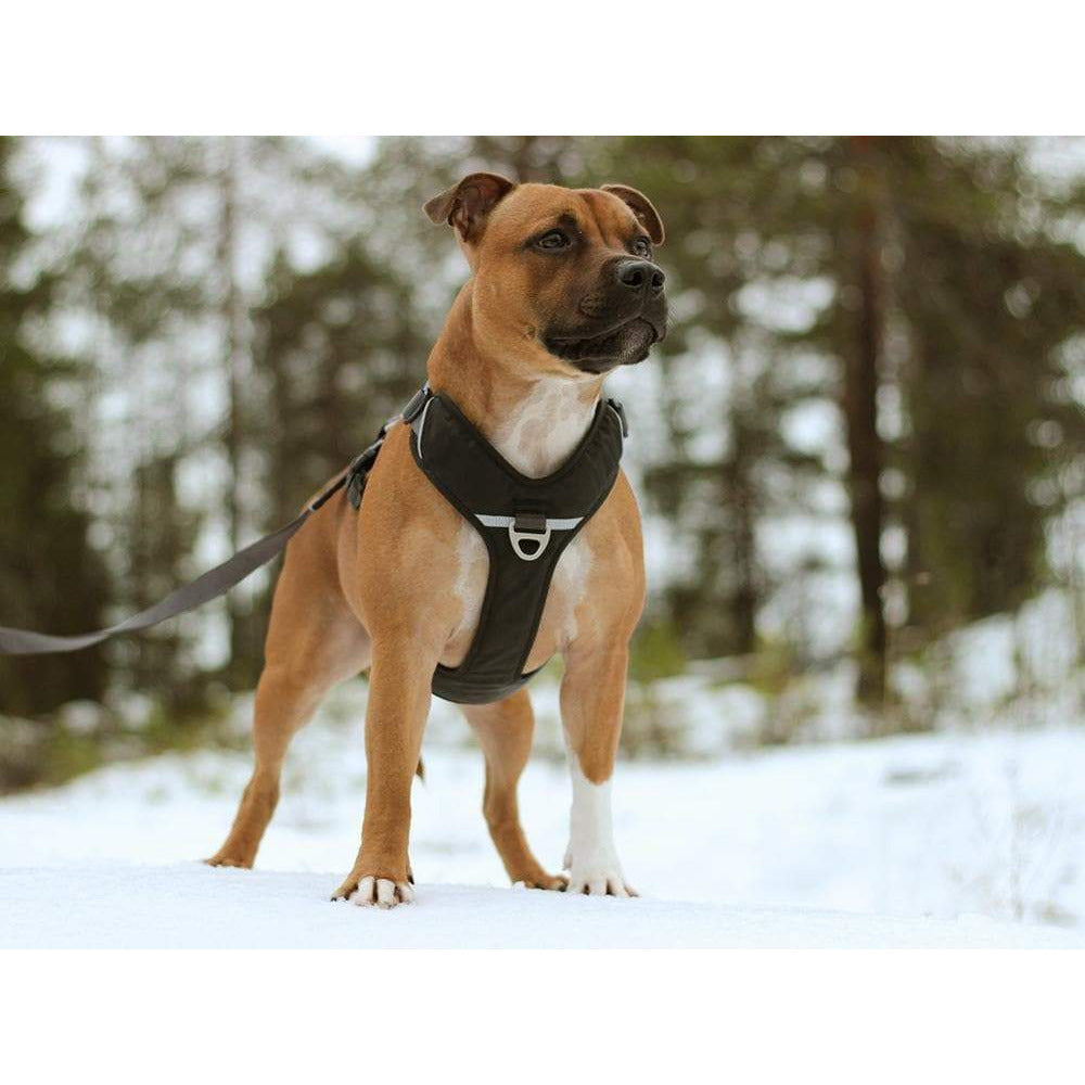 Geschirr Comfort Walk Pro - schwarz - athleticdog
