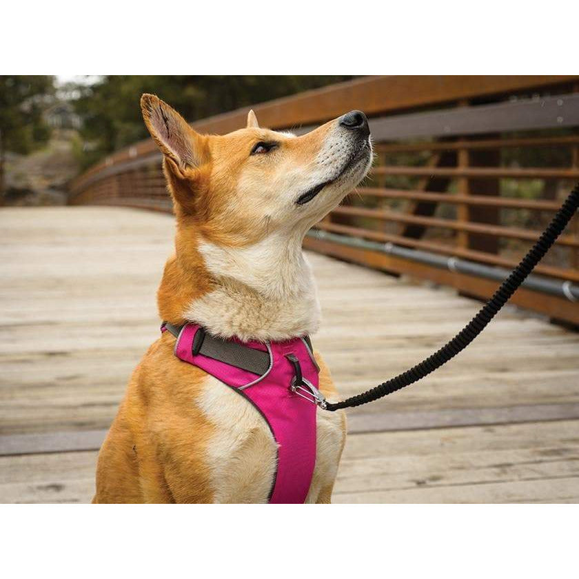 Geschirr Front Range™ - pink-Ruffwear-athleticdog