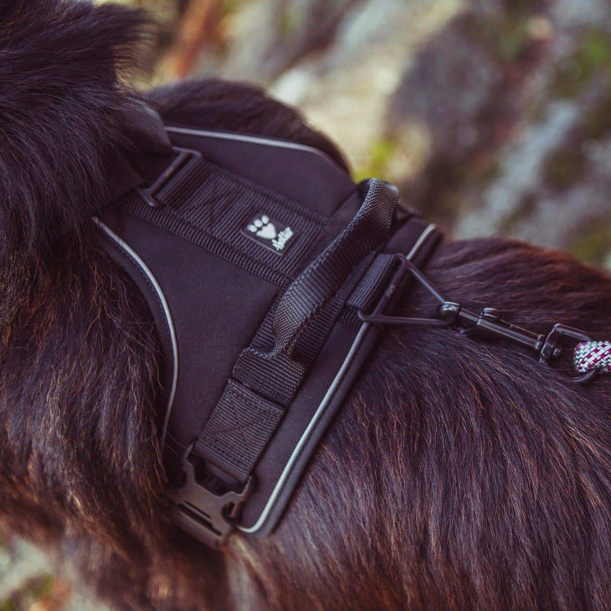 Hundegeschirr Active Harness - schwarz - athleticdog
