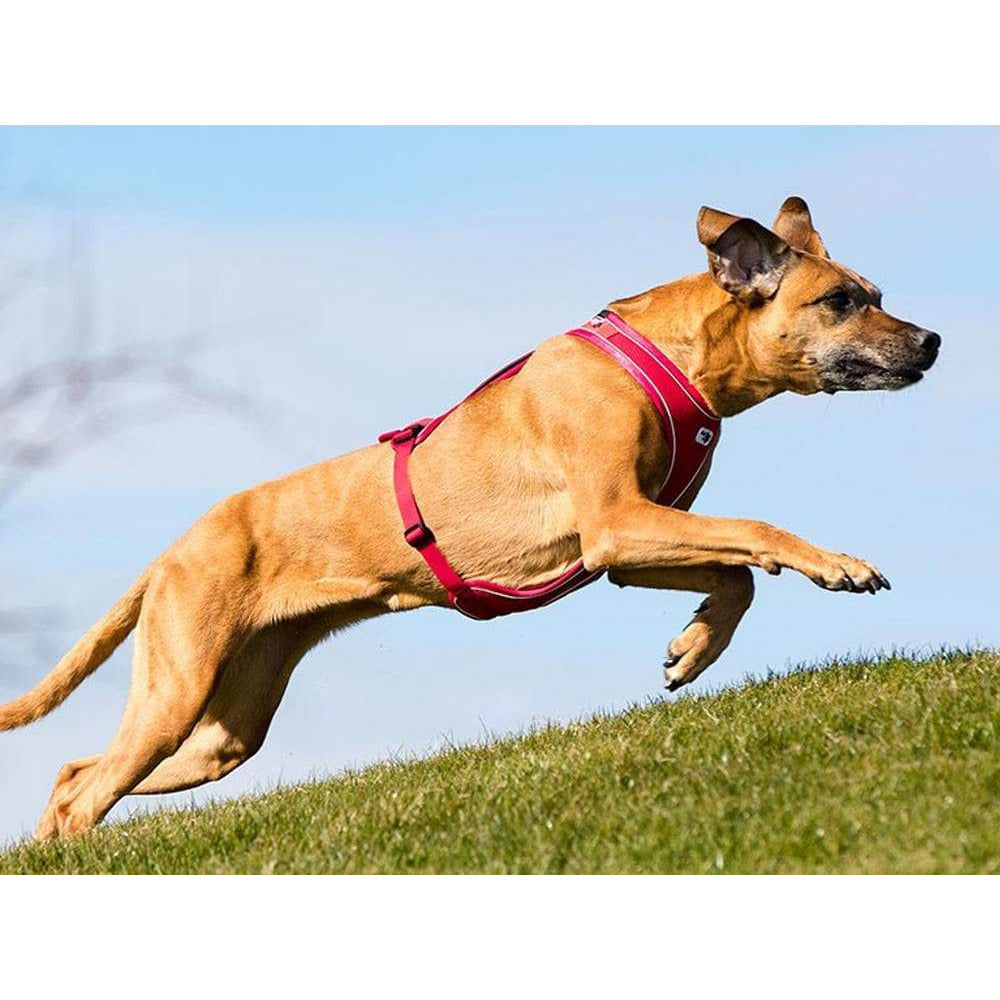 Hundegeschirr Belka Comfort - rot - athleticdog