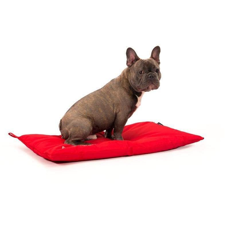 Hundekissen wasserabweisend - rot - athleticdog
