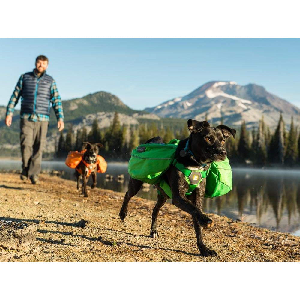 Hunderucksack Approach™ - grün - athleticdog