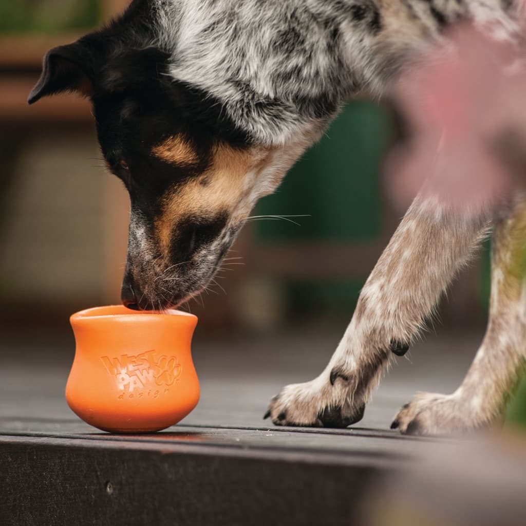 Toppl Treat Toy - orange - athleticdog