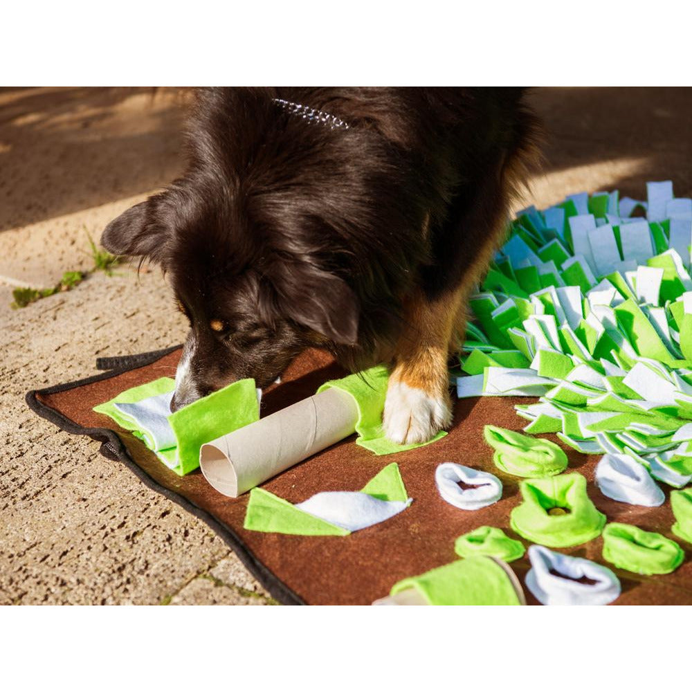 Intelligenz Pad für Hunde-Pawy-athleticdog