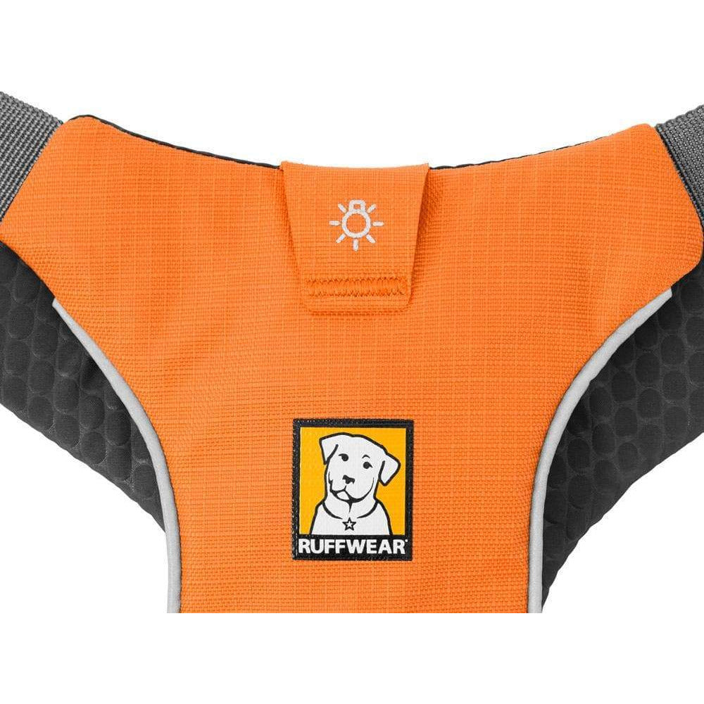 Joring Sportgeschirr Omnijore™ - orange - athleticdog