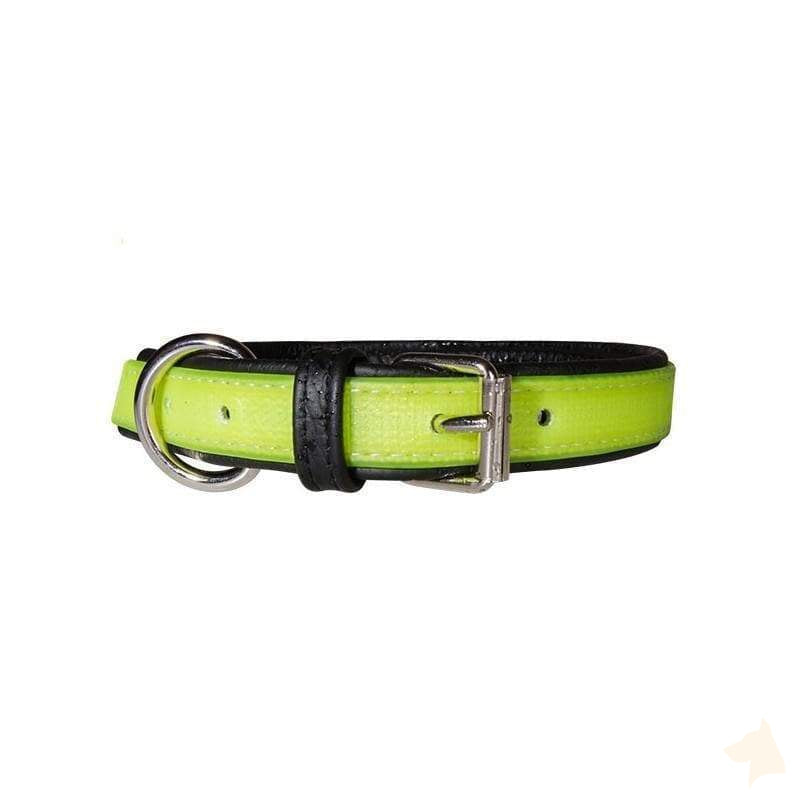 Leuchthalsband Lumino - gelb - athleticdog
