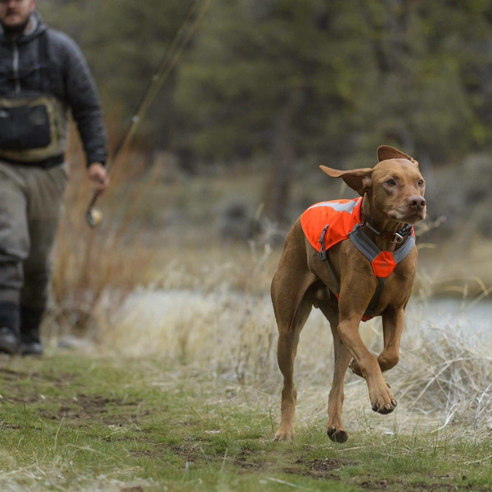 Leuchtweste Track Jacket orange kaufen bei ATHLETICDOG Schweiz