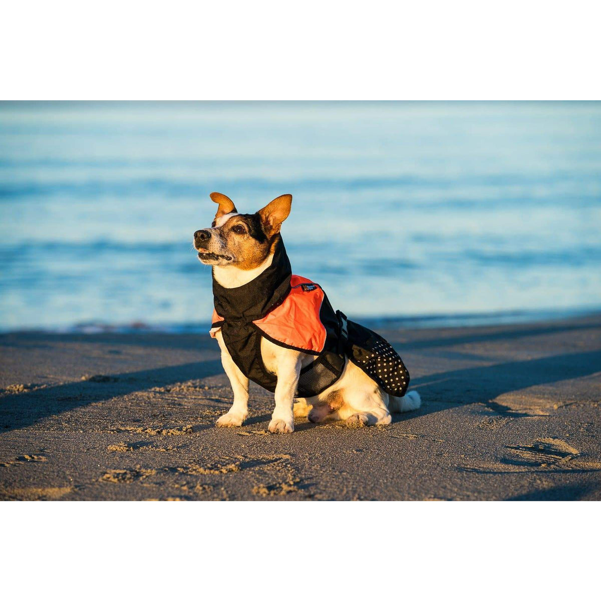 Mantel Non-Stop Beta Pro Raincoat - orange - athleticdog