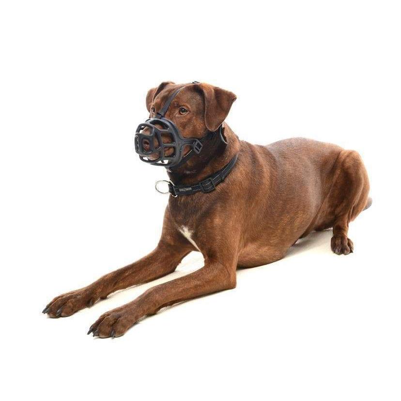 Maulkorb Thermo-Kunststoff - schwarz - athleticdog
