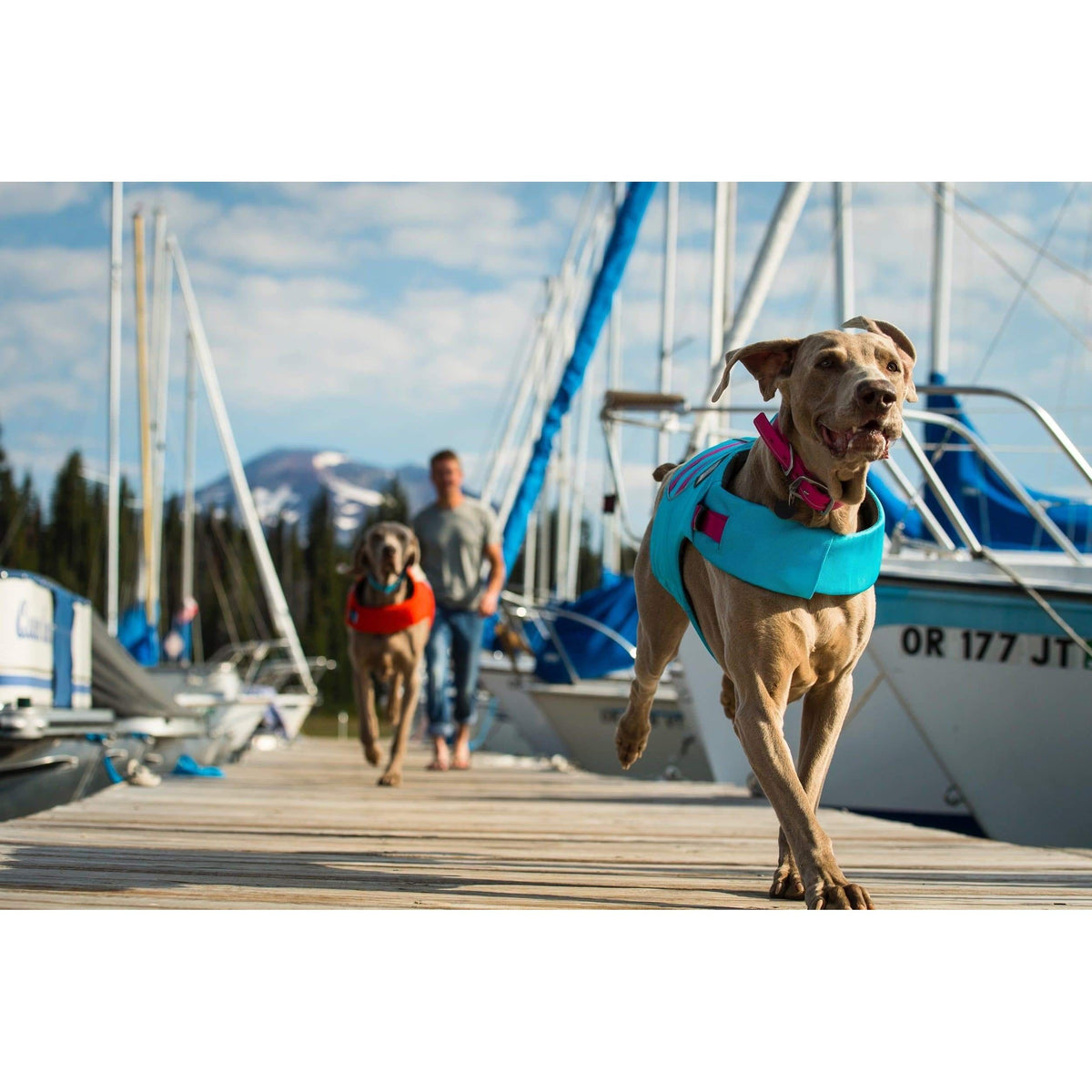 Schwimmweste Float Coat™ - blau-Ruffwear-athleticdog