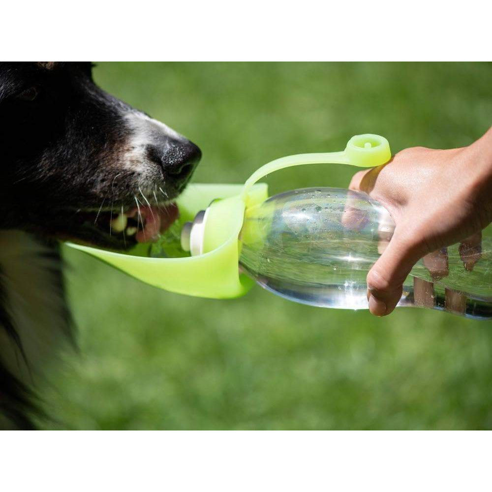 Trinkflasche für Hunde LEAF - grün-Procyon-athleticdog