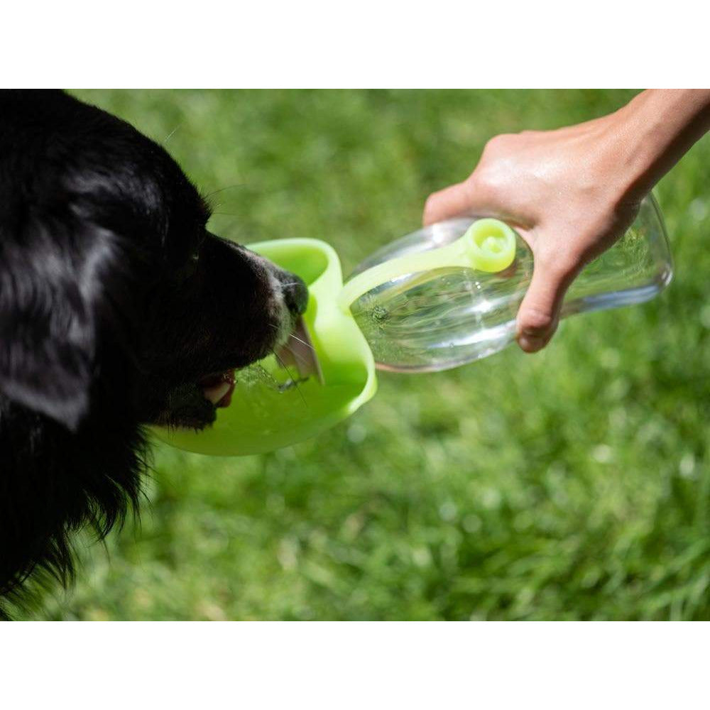Trinkflasche für Hunde LEAF - grün - athleticdog