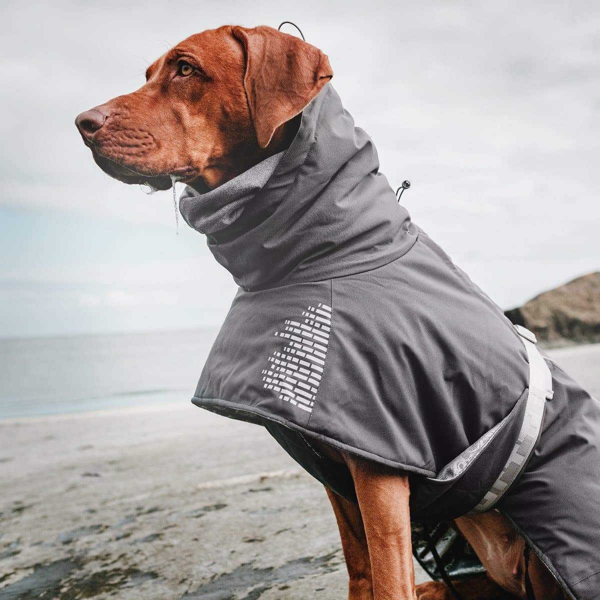 Wintermantel Extrem Warmer - grau-Hurtta-athleticdog