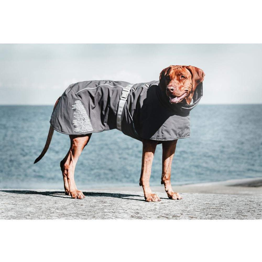 Wintermantel Extrem Warmer - grau-Hurtta-athleticdog